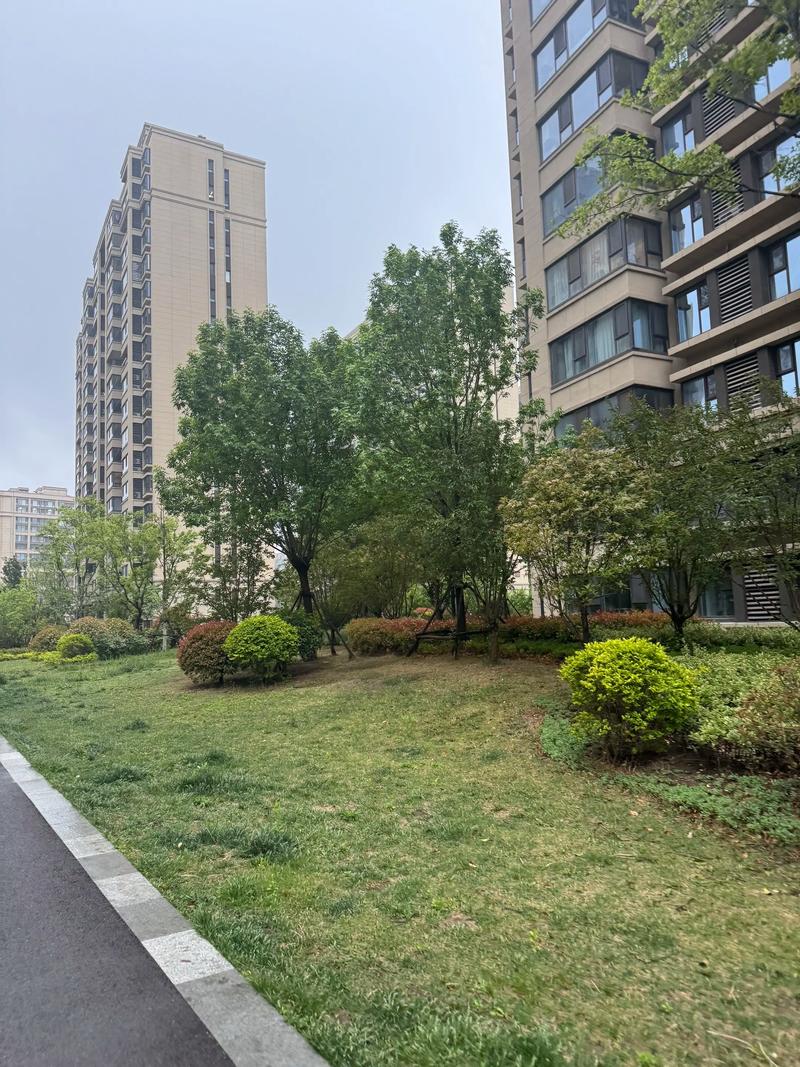 苗木种植基地：让绿色生命在土地上绽放